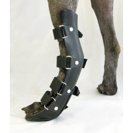 Immobilizing splint for dogs