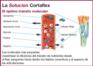 Condroprotector gos