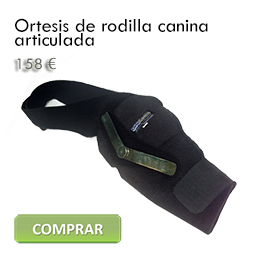 Comprar Ortesis de rodilla canina articulada