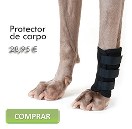 Comprar Protector de carpo