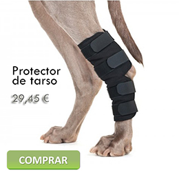 Comprar Protector de tarso