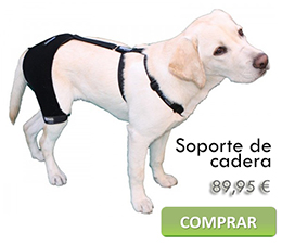 Soporte de cadera para perros